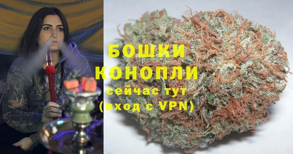 mdpv Белокуриха