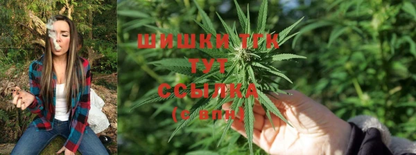 mdpv Белокуриха